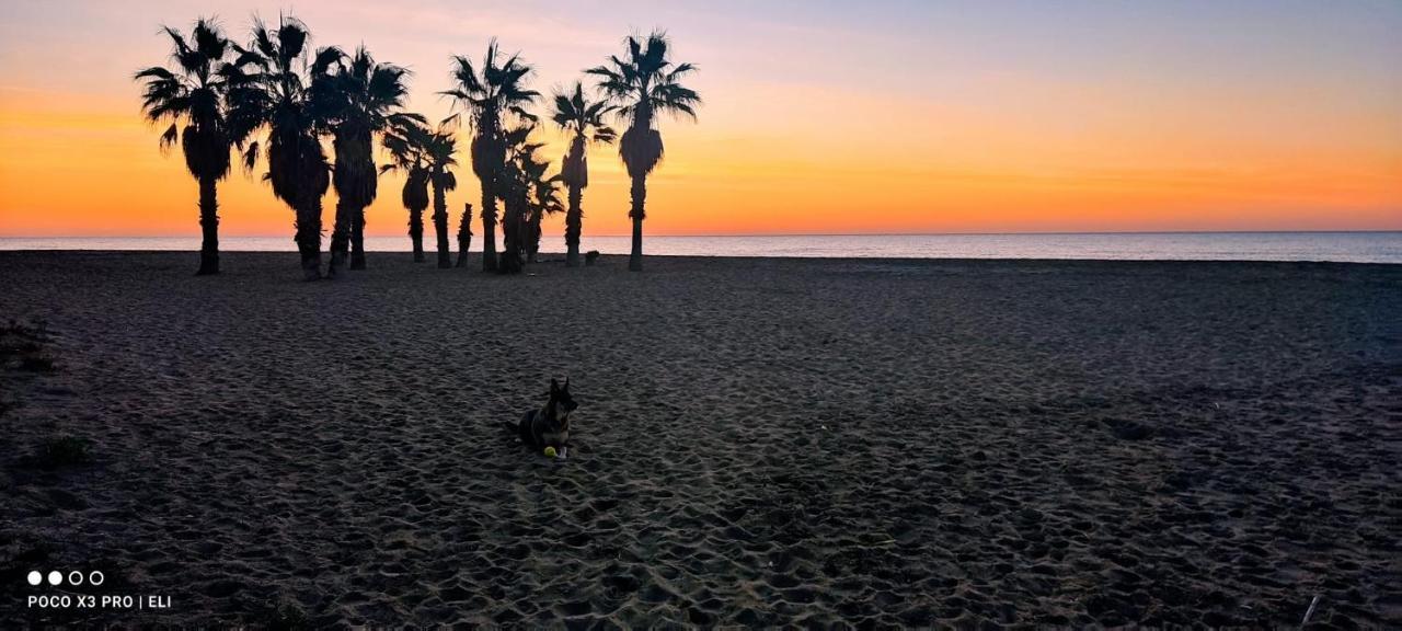 Encantador Apto En La Playa 科马鲁加 外观 照片