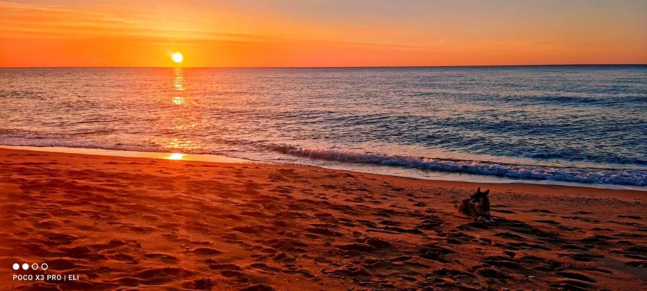 Encantador Apto En La Playa 科马鲁加 外观 照片