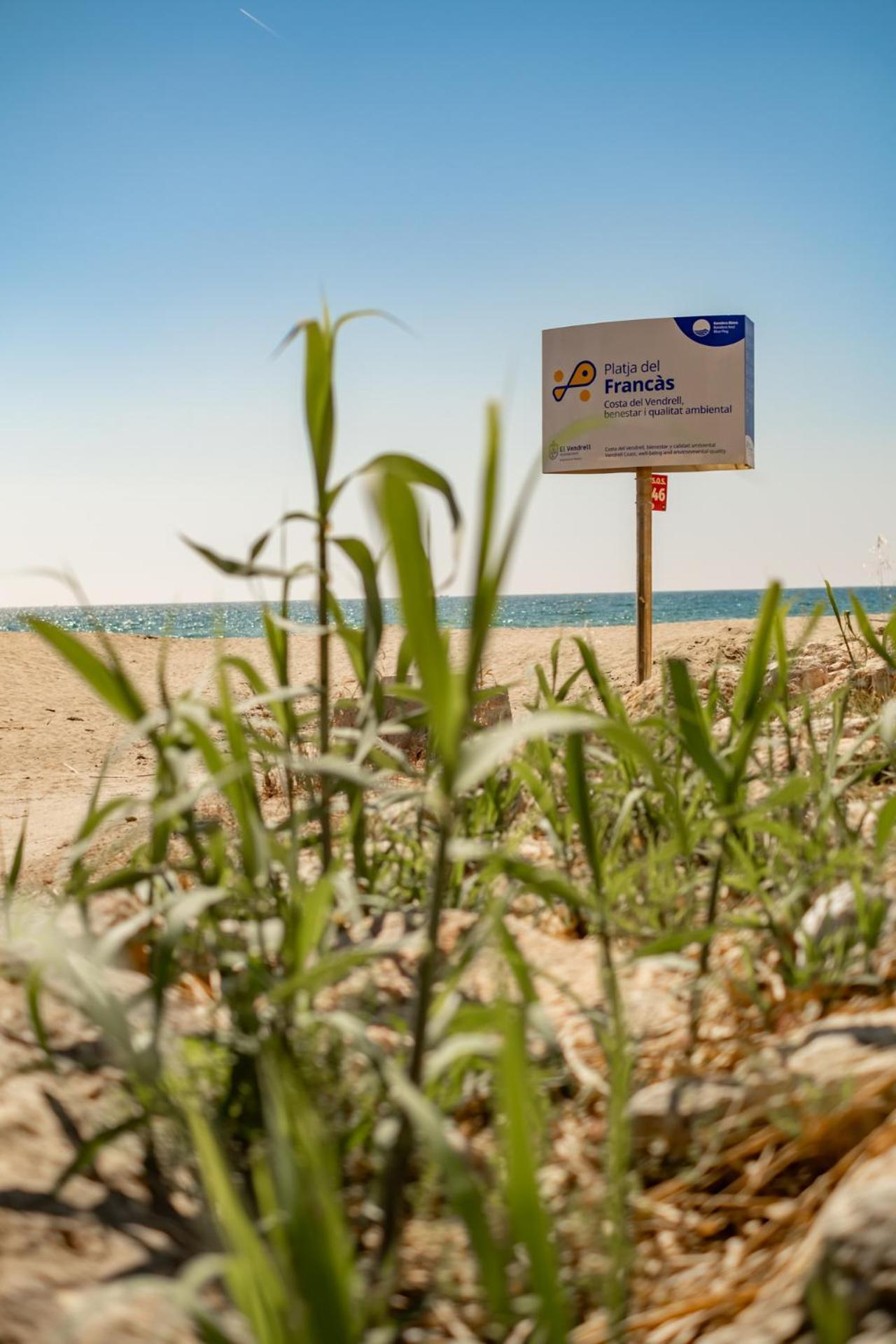 Encantador Apto En La Playa 科马鲁加 外观 照片