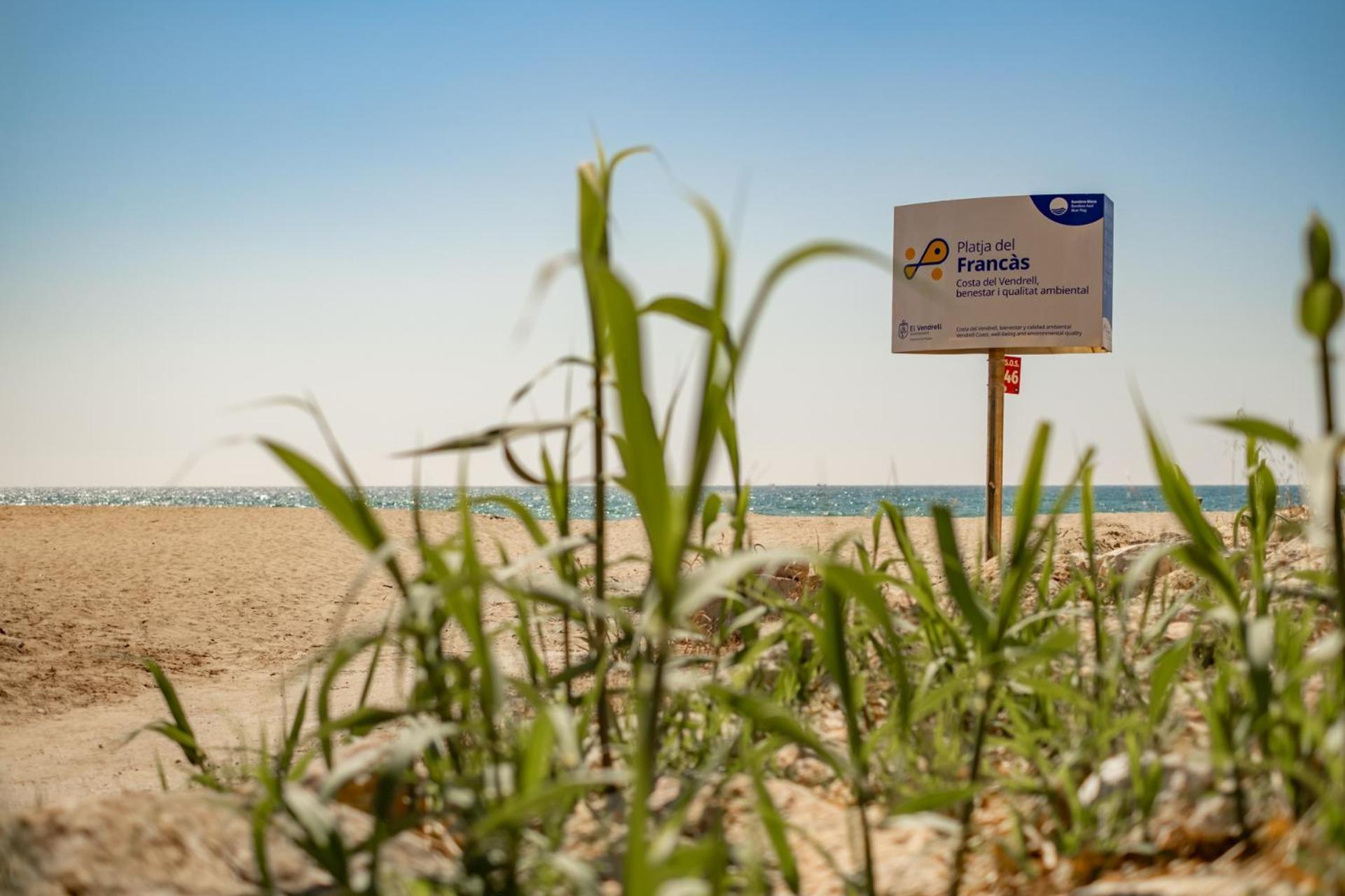 Encantador Apto En La Playa 科马鲁加 外观 照片