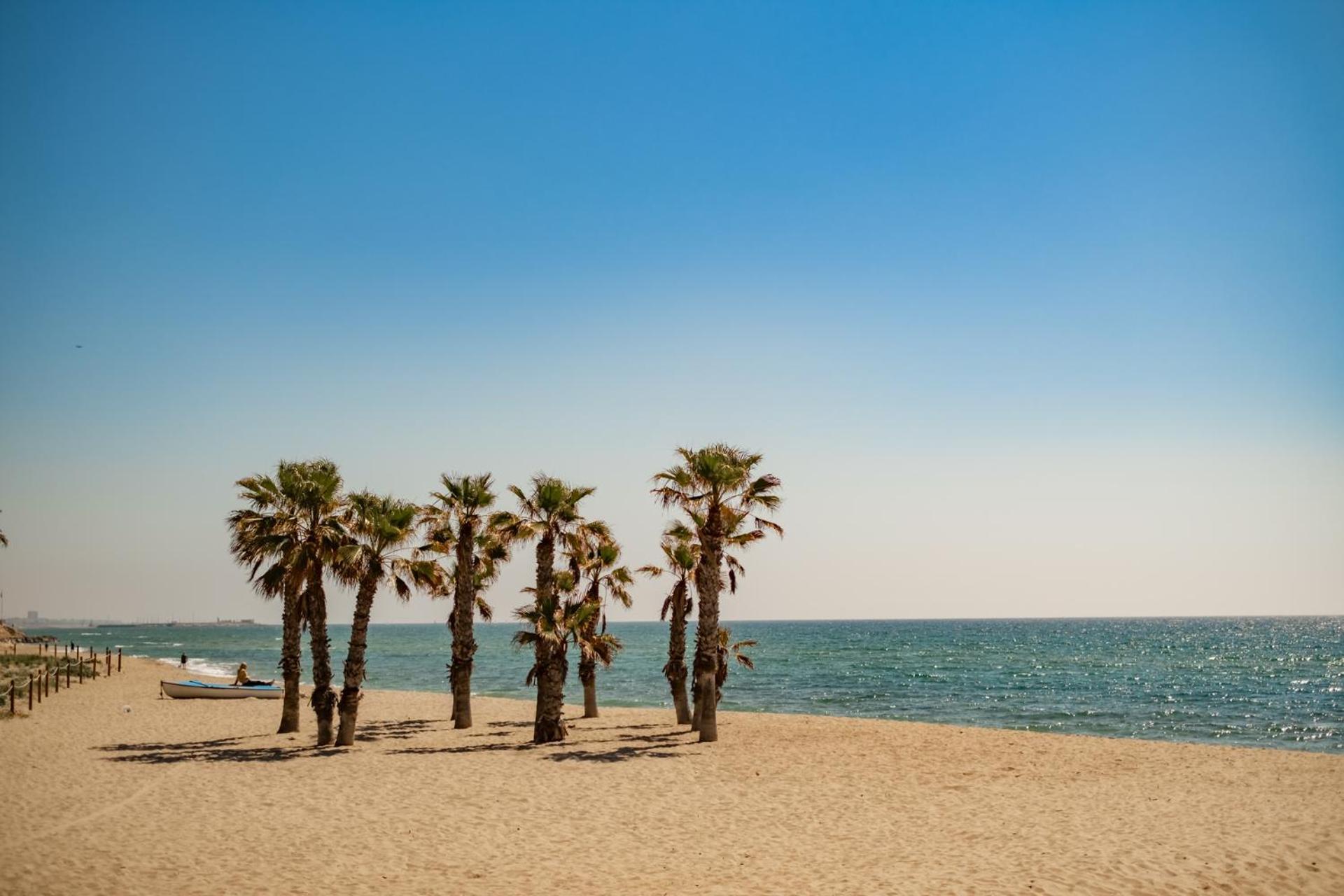 Encantador Apto En La Playa 科马鲁加 外观 照片