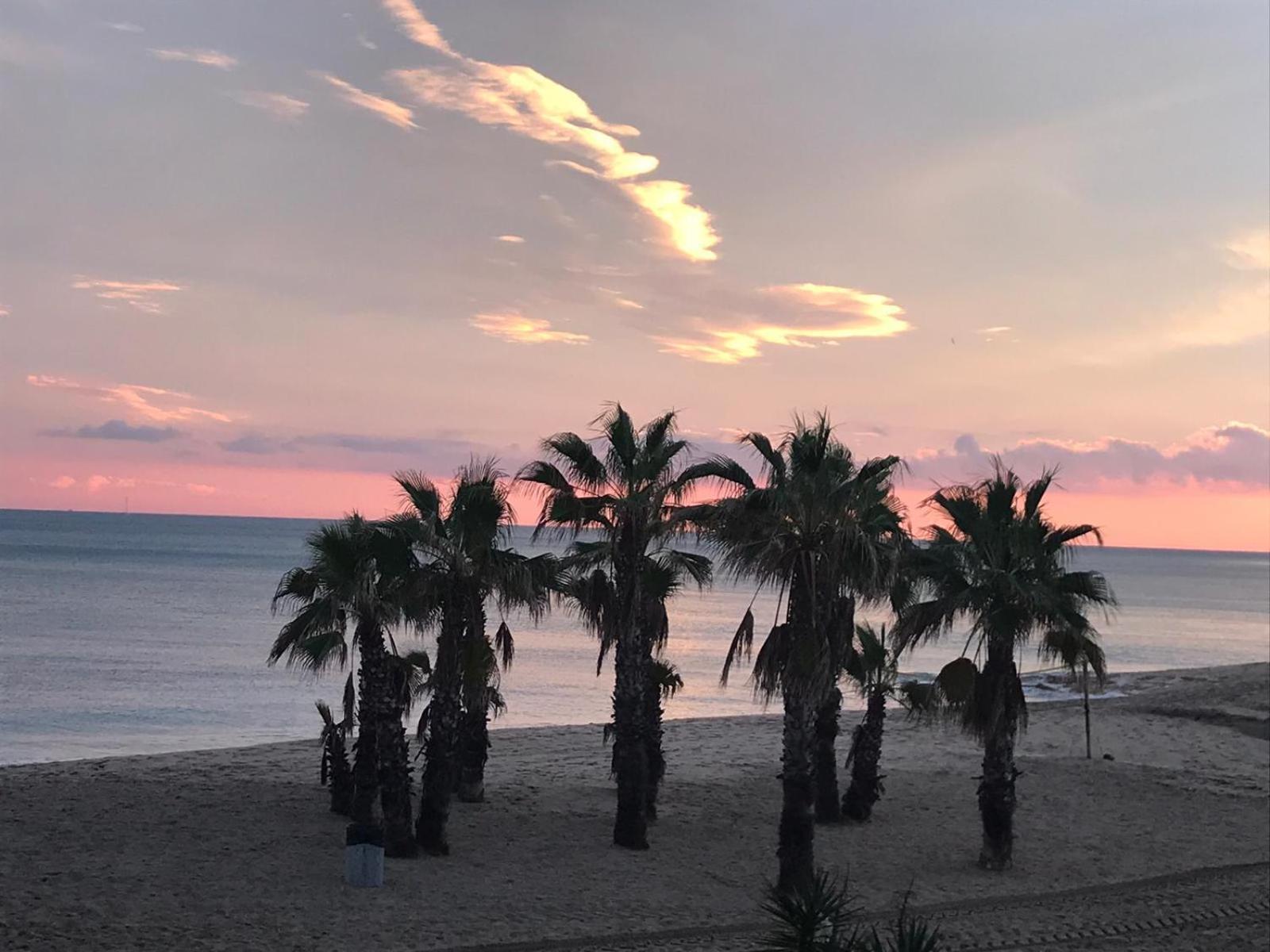 Encantador Apto En La Playa 科马鲁加 外观 照片